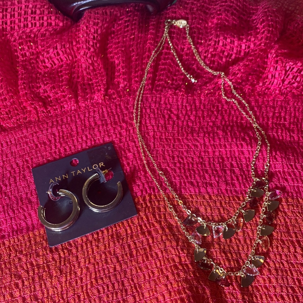 NWT Ann Taylor  hoop earrings& free necklace